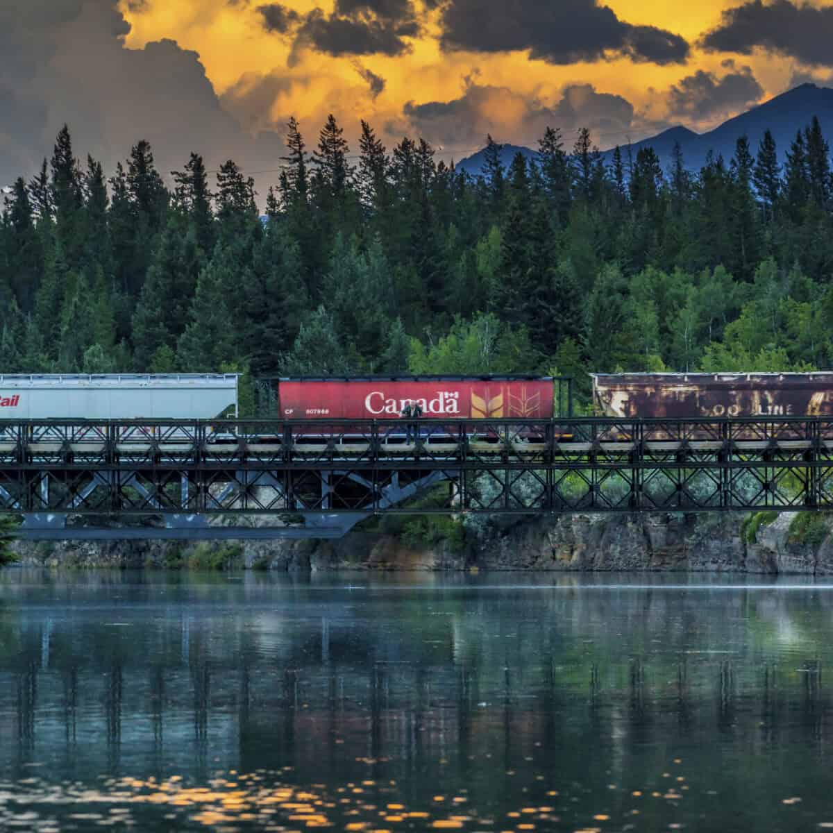 Canadian Stocks to Buy Today and Hold for the Next 7 Years