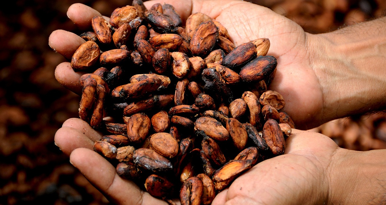 Cocoa Prices Pressured as Supply Concerns Ease