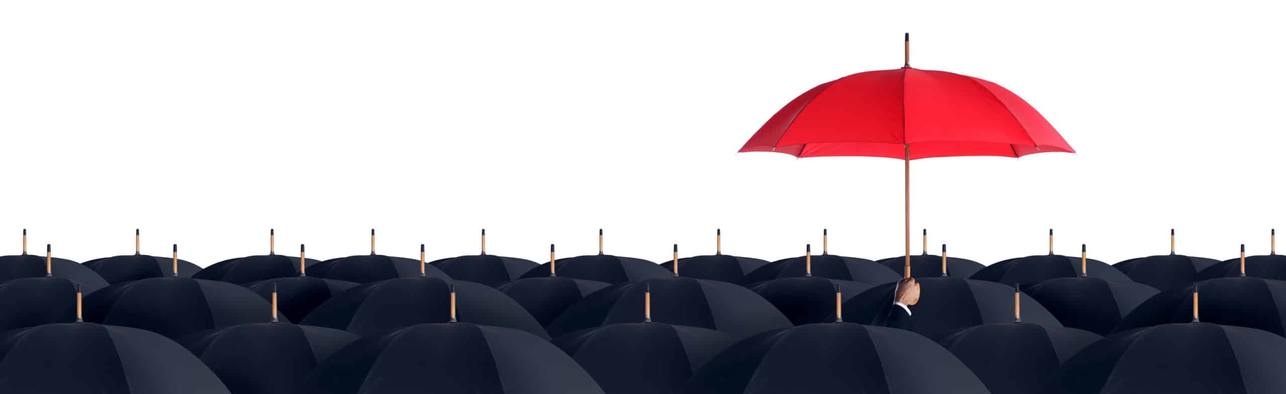 The Canadian Dividend Stock I Trust Most to Weather Any Kind of Market Storm