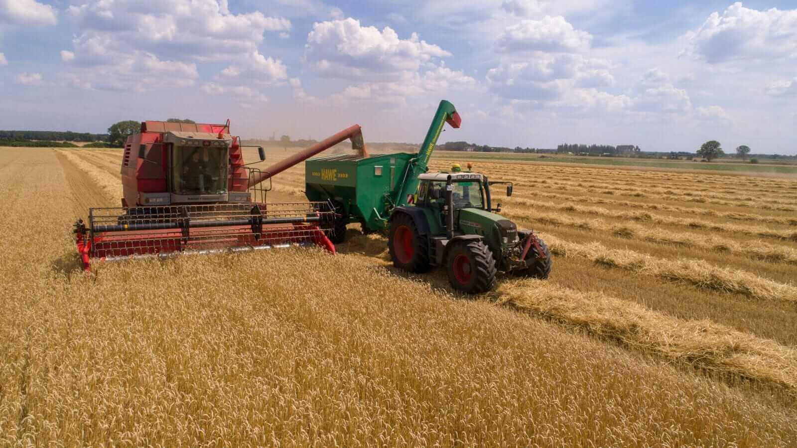 Wheat Facing Monday Weakness | Nasdaq