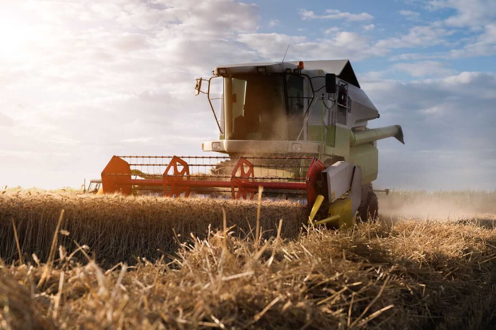 Wheat Showing Midday Strength on Thursday