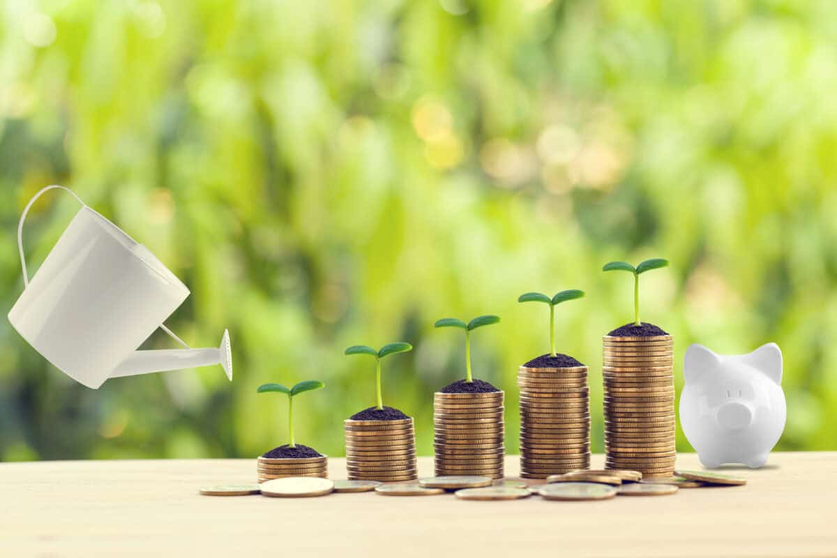 1 Undervalued Canadian Dividend Stock to Buy Now and Hold for Decades